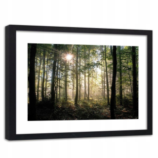 Obrázok v čiernom ráme tmavý hrubý les 120x80