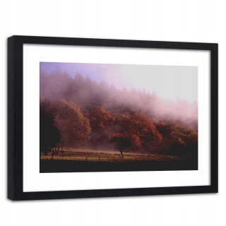 Zarámovaný obraz Čierny strom v hmle 90x60