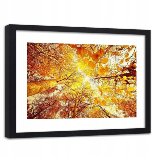 Zarámovaný obraz Čierny strom s listami 90x60