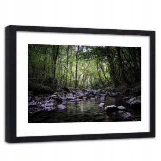 Obrázok v ráme čierneho lesa 90x60