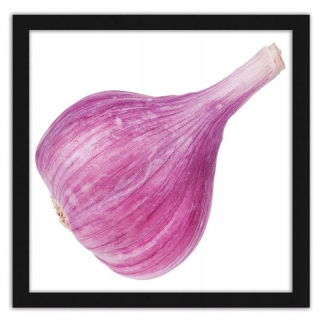 Čierny rám obrazu Ružový cesnak 90x90