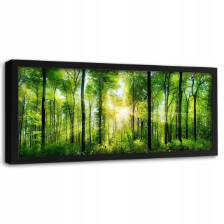 Panoramatický obraz slnečných lúčov medzi 150x50