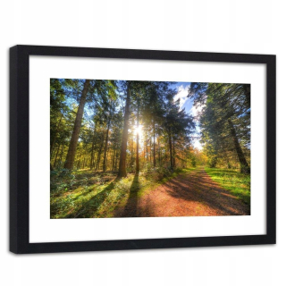 Obrázok v rámci čierneho slnka medzi stromami 90x60
