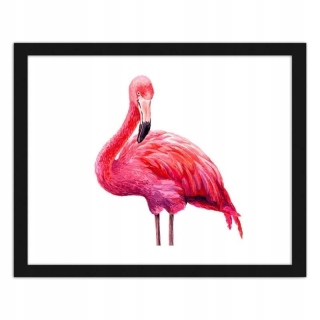 Obrázok v čiernom ráme Flaminga 80x60