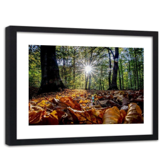 Obrázok v rámci jesenných listov na slnku 90x60