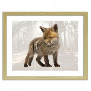 Obrázok v prírodnom ráme, Small Fox 100x70