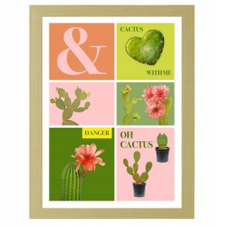 Obrázok v rámci OH Cactus 80x120