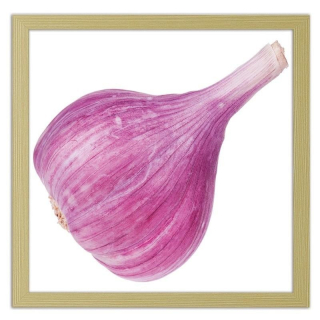 Obrázok v ráme ružový cesnak 90x90