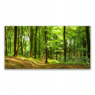 Obrázok visiaci na stene 140x70 Forest Path Natura
