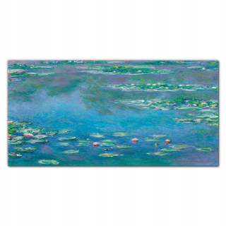 Moderný závesný obrázok 120x60 Voda lilie mince