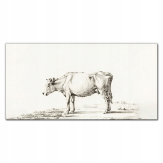 Obrázok visí s grafikou 120x60 Skicy Animal Cow Sketch