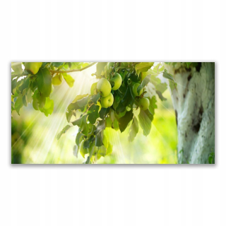 Obrázok s grafikou 140x70 Apples Branch Tree Príroda