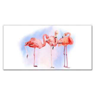 Obrázok s potlačou 120x60 Zvieratá Flaminga Birds