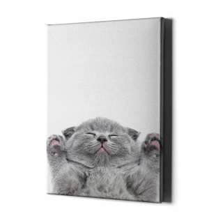 Obrázok s rámom k stene mačacej mačky č. 2 60x40 cm