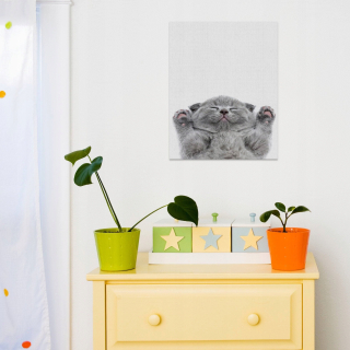 Obrázok s rámom k stene mačacej mačky č. 5 60x40 cm