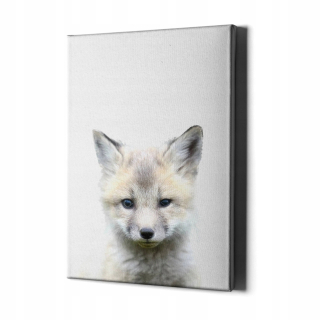 Obraz s rámom na stenu BABY FOX č.2 77x50cm