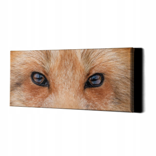 Obrázok s Fox Eyes 117x50 stena rámu
