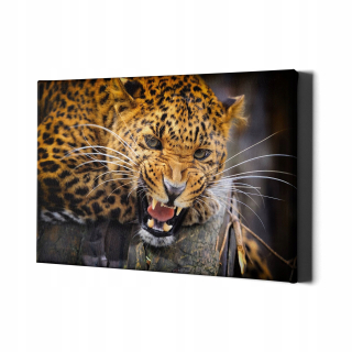 Obrázok so stenou na stenu Jaguar č. 1 137x88cm