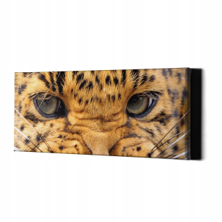 Obrázok s rámom steny Leo Yellow Eyes 117x50