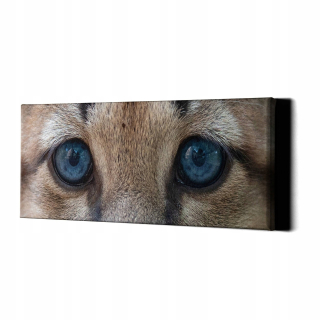 Obrázok s rámom steny Leopard Eyes 77x30 cm