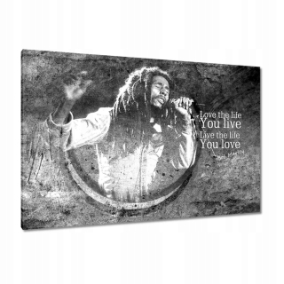 Obrázky 120x80 Bob Marley Concert