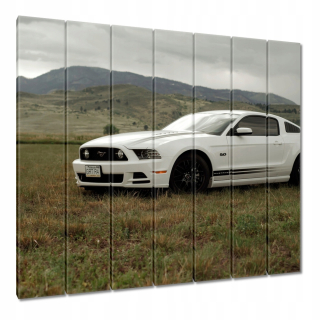 Obrázky 210x195 White Ford Mustang