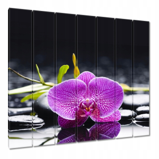 Obrázky 210x195 Purple orchidea