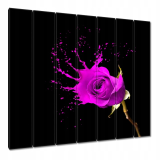 Obrázky 210x195 Purple Rose s účinkom