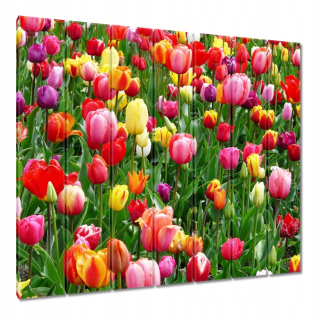 Obrázky 210x195 Farebné tulipány na lúke