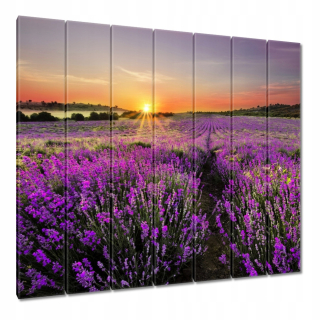 Maľby 210x195 Lavenderová lúka
