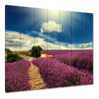 Obrazy 210x195 Lavender krajina