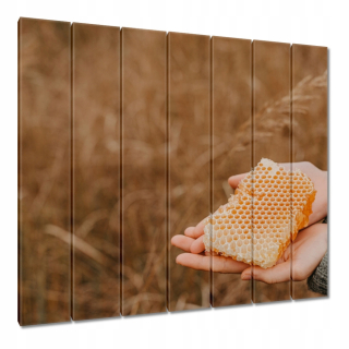 Obrázky 210x195 Honey Honey včelárstvo
