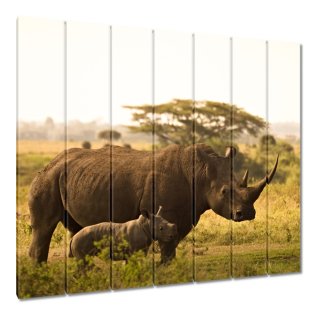 Obrazy 210x195 Rhino s dieťaťom