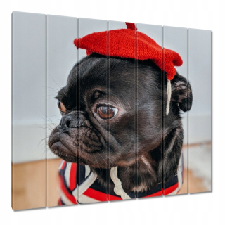 Obrazy 210x195 Dog Dogs