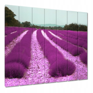 Obrazy 210x195 Field Lavender