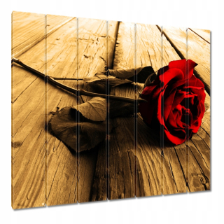 Obrázky 210x195 Rose na sépiových doskách