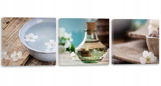 Obrázky 3 prvky Jasmine Water 210x70