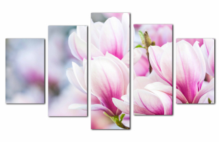 Obrázky Magnolia 150x90 na stene obrázku pre obývaciu izbu