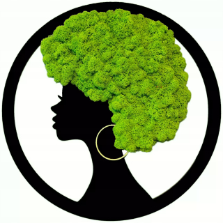Dekoratívny mach - Afro machová hlava chrobotek 60cm PREMIUM