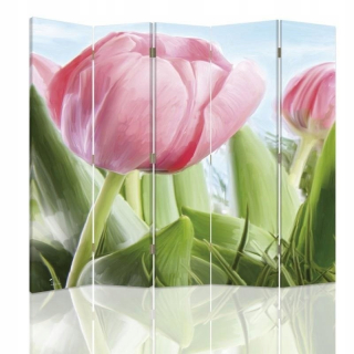 Obrazovka Feby Tulip 1 180x180 cm