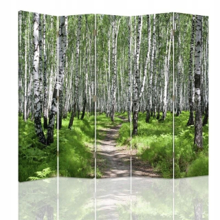 Feemy Screen Birch Forest 2 180x180 cm
