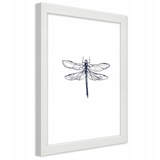 Plagát v bielom ráme, Drawn Dragonfly - 70x100