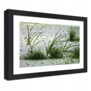 Plagát v rámci čiernej trávy na pláži 60x40