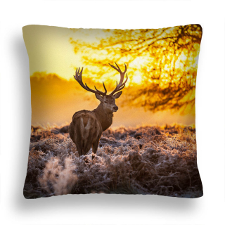 Vankúš - Vankúš zw 13 jeleň na Roar Sunrise Sunrise