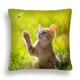 Vankúš - Vankúš Kitty 43 Zábava s vankúšom motýľov