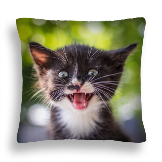 Vankúš - Vankúš Kitty 45 Malý, ale bláznivý Jaś 40x40 Poľsko