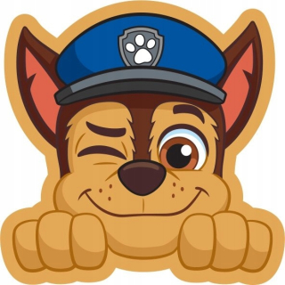 Vankúš - Carbotex Cushion Paw Patrol hnedá 34x38 cm
