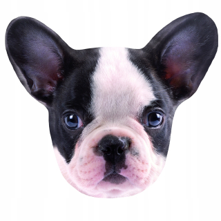 Online vankúš Boston Terrier