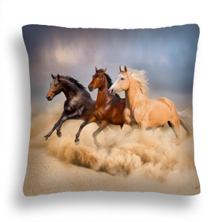 Vankúš - Vankúš Desert Horses 39 Jasiek Product Licker Product