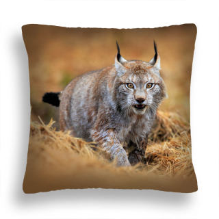 Vankúš - Vankúš ZW 15 Ryś Hunts medzi trávami Jasiek 40x40